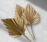 PALM LEAF